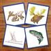 Hunting/Fishing embroidery design pack