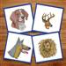 Animal Heads embroidery design pack