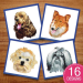 Dogs to Love embroidery design pack