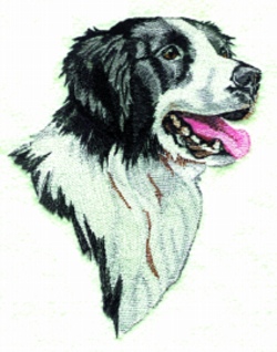 Balboa threadworks embroidery design border collie 340 inches h x 2