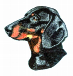 Balboa wldfoworks embroidery design dachshund 270 inches h x 290 Balboa wldfoworks embroidery design dachshund 270 inches h x 290