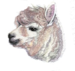 Balboa threadworks embroidery design alpaca 250 inches h x 260 inches w Balboa threadworks embroidery design alpaca 250 inches h x 260 inches w