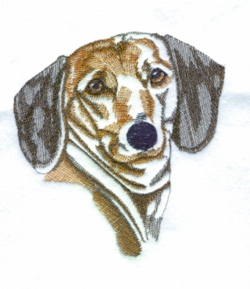 Balboa wldfoworks embroidery design dachshund 280 inches h x 260 Balboa wldfoworks embroidery design dachshund 280 inches h x 260