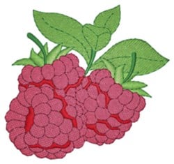 Raspberries Embroidery Design Embroiderydesigns