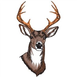 Dakota Collectibles Embroidery Design: White Tail Deer Head 5.95 inches