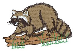 Dakota collectibles embroidery design raccoon 194 inches h x 298 Dakota collectibles embroidery design raccoon 194 inches h x 298
