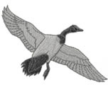 CANADIAN GOOSE embroidery design
