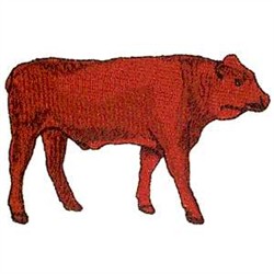 Oklahoma embroidery embroidery design beef cattle 224 inches h x 347
