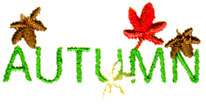 Autumn Text embroidery design