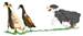 Dog Herding Ducks embroidery design
