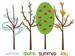 The Seasons embroidery design