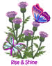 Rise & Shine embroidery design