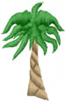 Palm Tree