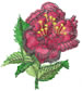 Rose embroidery design