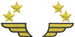 Wings and Stars embroidery design