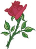 Red Rose embroidery design