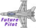F18 Air Force embroidery design