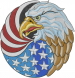 American Flag Eagle