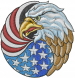American Flag Eagle embroidery design