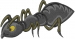 Ant embroidery design