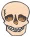 Human Skull embroidery design