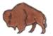 American Bison embroidery design
