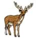 Big Buck embroidery design