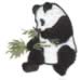Panda embroidery design