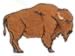 American Bison embroidery design