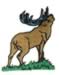 Elk Call embroidery design