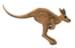 Kangaroo embroidery design