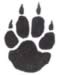 Bear Print embroidery design