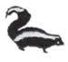 Skunk embroidery design
