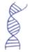 Double Helix embroidery design