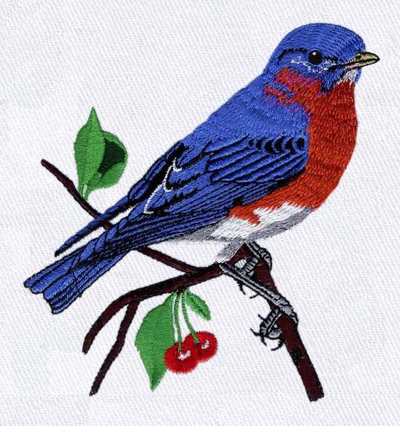 Bella mia designs embroidery design eastern bluebird 450 inches h x 4 Bella mia designs embroidery design eastern bluebird 450 inches h x 4