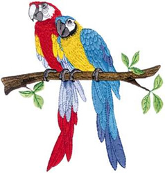 Two Macaws Embroidery Design
