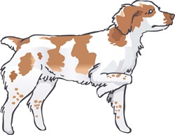 BRITTANY SPANIEL ON POINT print art Animals print art at