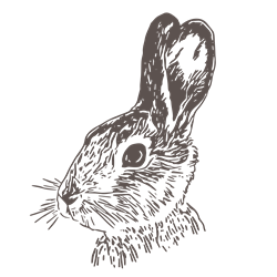 Realistic Bunny Head SVG cut file at EmbroideryDesigns.com