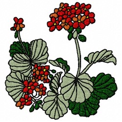 Geranium Plant Embroidery Design | EmbroideryDesigns.com