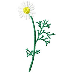 Daisy Flower Embroidery Design | EmbroideryDesigns.com