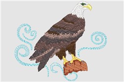 Bald Eagle Embroidery Design | EmbroideryDesigns.com