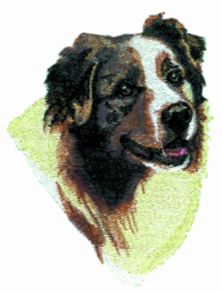 Australian shepherd embroidery designs machine embroidery designs at Australian shepherd embroidery designs machine embroidery designs at