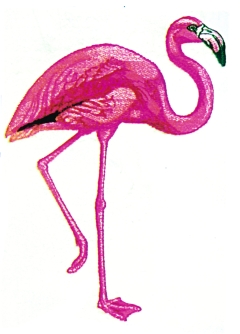 Flamingo embroidery designs machine embroidery designs at Flamingo embroidery designs machine embroidery designs at
