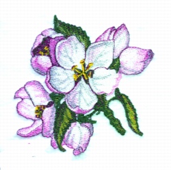 Apple blossom bouquet embroidery designs machine embroidery designs at Apple blossom bouquet embroidery designs machine embroidery designs at