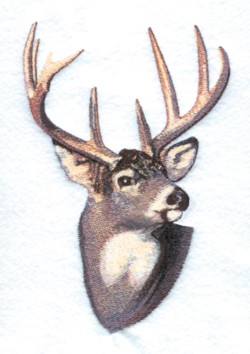 Deer embroidery designs machine embroidery designs at Deer embroidery designs machine embroidery designs at