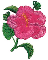 Hibiscus Embroidery Design | EmbroideryDesigns.com