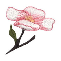 Apple blossom embroidery designs machine embroidery designs at Apple blossom embroidery designs machine embroidery designs at