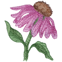 purple coneflower embroidery purple coneflower embroidery