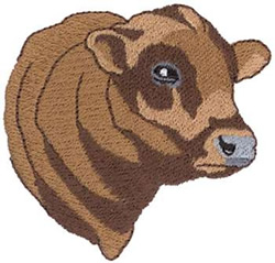Angus bull head embroidery designs machine embroidery designs at Angus bull head embroidery designs machine embroidery designs at