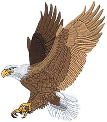 embroidery eagle